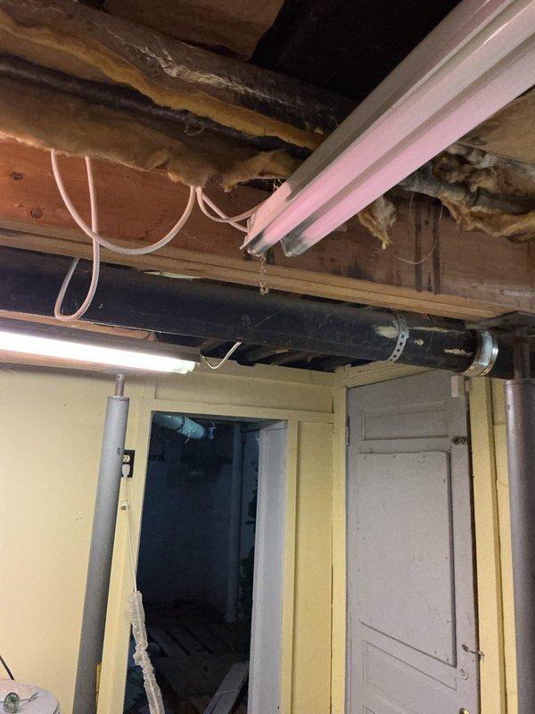 Responded to call regarding strong septic odor in residence. Conducted thorough inspection of utility area and basement plumbing infrastructure. Examined washing machine drain connections, PVC drainage system, and water treatment equipment for potential sources of sewer gas infiltration. Inspected overhead plumbing including drain lines and vent pipes for proper configuration and potential trap seal failures. Photographed existing conditions including utility room plumbing configuration and basement ceiling infrastructure showing drain and vent pipe routing. No immediate plumbing failures or leaks identified during visual inspection. Advised client on potential causes of septic odors including dry trap seals, compromised vent stack, or issues with septic system itself requiring further specialized evaluation.