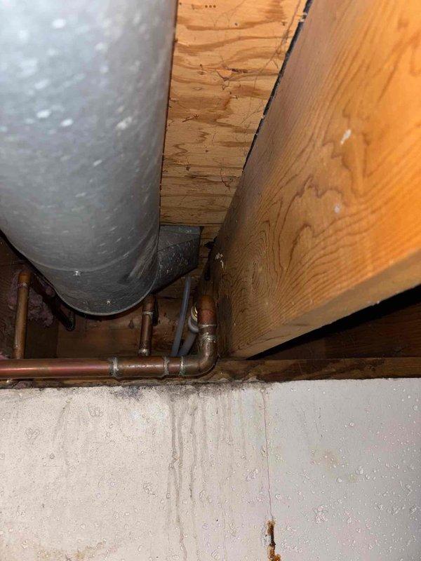 Responded to service call for reported leak at exterior hose bib and water meter in basement of approximately 50-year-old residence. Upon inspection, identified minor weeping at basement water meter connection that had been present for extended period without causing visible damage to surrounding areas or other parts of the home. Examined exterior yard spigot and found slight seepage at packing nut. Tightened packing nut on hose bib to eliminate exterior leak. Assessed water meter leak and determined it required monitoring but posed no immediate safety concerns given its long-standing nature and lack of progression. Inspected visible plumbing infrastructure including water heater connections, copper supply lines, and toilet installation to verify no additional leak points or moisture damage throughout the system. All connections at water heater appeared secure with no evidence of active leaking. Toilet supply line and shut-off valve showed proper operation with no signs of moisture or 