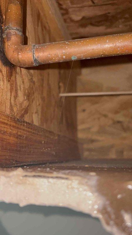 Responded to emergency call for water leaking through ceiling from unknown source. Instructed client to locate and close main water shut-off valve to prevent further water damage. Investigated leak source by accessing crawl space and ceiling cavity, where copper supply piping was found with significant condensation and active moisture accumulation on pipe surfaces and joints. Documented conditions with photos showing wet copper piping with elbow connections in crawl space area and ceiling access point exposing affected plumbing system. Provided immediate guidance on emergency water shut-off procedures to minimize property damage until repairs could be completed.