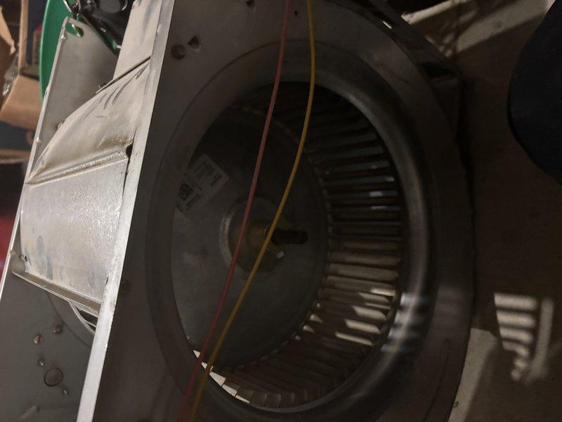 Completed blower motor replacement on residential HVAC system. Removed existing blower assembly, disconnected electrical connections from control board, and installed new blower motor with squirrel cage fan wheel. Verified proper wiring connections, tested motor operation, and confirmed adequate airflow through the system.
