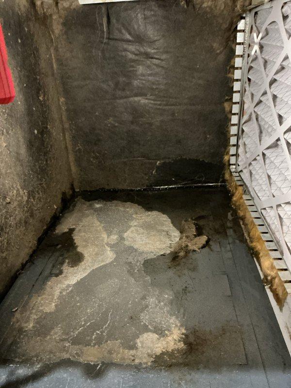 Responded to callback for recurring water leak on 8-year-old Goodman unit following previous day's condensate pump replacement under recall. Upon inspection, discovered severely clogged and deteriorated drain pan with extensive biological growth and standing water accumulation. Drain line was completely obstructed with heavy black mold and debris buildup, preventing proper condensate drainage. Removed and documented contaminated drain line material showing advanced decomposition. Thoroughly cleaned drain pan, removing all standing water, sediment, and microbial growth from interior surfaces. Cleared primary and secondary drain lines to restore proper water flow. Verified drain system functionality and confirmed no active leaks present at completion of service.
