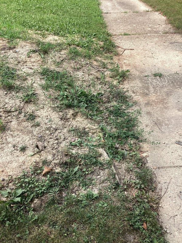Responded to recurring sewer line backup issue related to previous plumbing repair. Upon arrival, conducted thorough inspection of exterior property to identify potential drain line concerns. Documented visible lawn distress patterns and soil conditions along suspected sewer line pathway, which indicated possible underground line compromise. Assessed pathway and lawn junction areas showing signs of settling or ground disturbance consistent with sewer line problems.