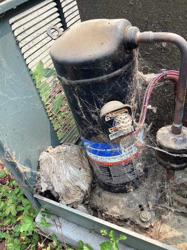 # Residential AC System Repair - Rodent Intrusion and Contactor Failure

Responded to service call for 16-year-old Rheem air conditioning system with reported issue of AC compressor running but blower fan not operating, resulting in inadequate cooling. Upon arrival, performed system diagnostics and visual inspection of outdoor condensing unit and electrical components.

Opened electrical control panel and discovered deceased rodent inside junction box that had caused electrical failure. Rodent intrusion had compromised the contactor assembly and associated wiring connections. Removed deceased animal and sanitized affected areas of control panel. Inspected all wire connections to Siemens contactor for damage, corrosion, and proper termination.

Noted significant environmental debris accumulation throughout unit including cobwebs, dirt, leaves, and organic matter on compressor housing and internal components. Observed rust and corrosion on control panel mounting surfaces and hardware ind