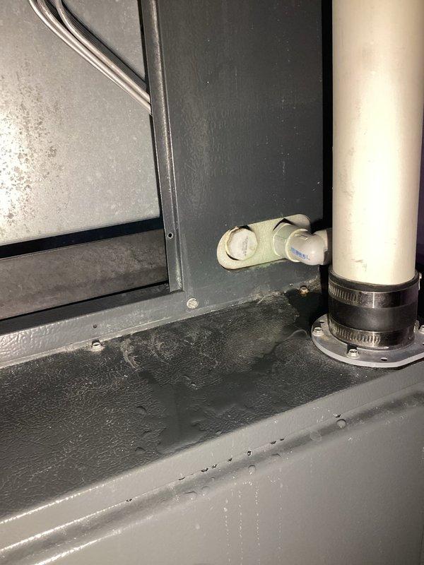 # No Cool Service Call

Responded to a no cooling complaint and performed system diagnostics. Inspection revealed condensate drainage issues with the evaporator coil assembly. The drain pan showed signs of moisture accumulation and the condensate drain line exhibited improper drainage. Cleared the condensate line obstruction and verified proper water flow through the drain system. Inspected the evaporator coil section and associated ductwork in the attic space, noting aged insulation on refrigerant lines but no active refrigerant leaks detected. Cleaned the drain pan, tested the condensate removal system for proper operation, and confirmed the air handler was functioning correctly. System returned to normal cooling operation with adequate airflow and proper condensate management. Recommended monitoring the drain line for future maintenance to prevent overflow conditions that could trigger safety shutoffs.