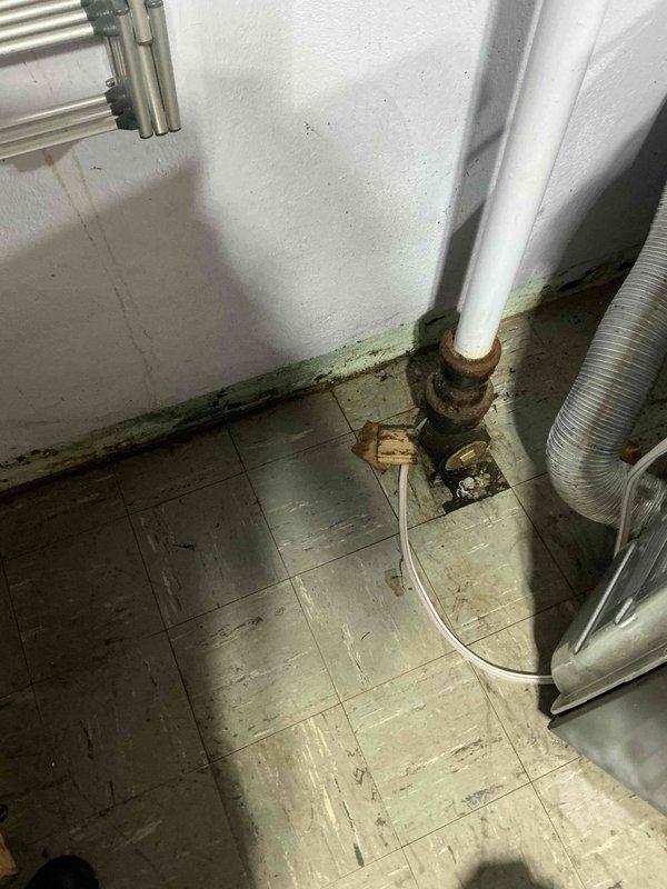 # Washing Machine Drain Line Backup - Service Completed

Responded to customer report of washing machine drain line backing up. Upon arrival, inspected utility area and identified blockage in drainage system. Accessed drain line and performed mechanical cleaning using professional drain equipment to clear obstruction. Removed accumulated debris, lint, and foreign material causing the backup. Tested water flow after clearing to verify proper drainage and confirm issue resolution. Work area showed signs of previous water damage and deterioration around drain connections, which was documented with photos. System restored to full functionality with proper drainage confirmed before departure.