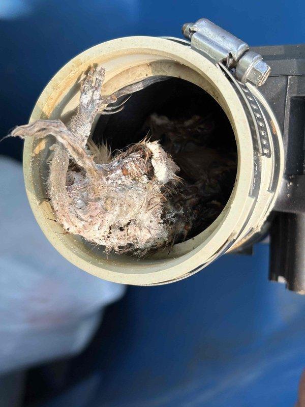 Responded to service call for furnace not operating following AC installation. Upon inspection, discovered significant blockage in venting system with substantial accumulation of lint, debris, and fibrous material obstructing airflow. Cleared obstruction from vent connector and inspected gas valve assembly for proper operation. Verified furnace returned to normal function after resolving ventilation blockage issue.
