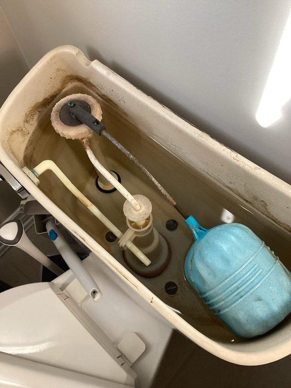 Responded to multiple plumbing leak concerns throughout the residence. Inspected double vanity bathroom sink for steady leak and assessed repair requirements. Examined upstairs bathroom shower temperature control knob that had detached from valve stem, determined adhesive repair and replacement necessary. Investigated toilet tank components for minor leak, identified worn flapper and internal mechanisms contributing to water seepage. Evaluated garage sink location for potential spigot installation to add water access point. Assessed laundry room sink faucet requiring complete replacement due to deterioration and malfunction. Documented existing conditions of shower fixtures and toilet tank internal components including fill valve assembly, flush mechanism, and float ball system showing mineral deposits and age-related wear. Provided comprehensive evaluation of all reported leak sources and additional plumbing upgrade requests for property.