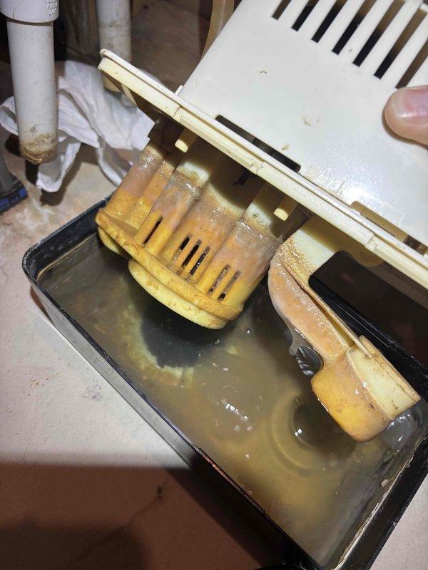 Completed annual cooling maintenance on 19-year-old Lennox system. Upon inspection, discovered excessive water accumulation in condensate drain pan with visible corrosion and mineral deposits on drain fittings and overflow safety switches. Disassembled and cleaned condensate drainage components, removing rust-colored staining and buildup from yellow plastic drain fittings. Cleared drainage system to restore proper water evacuation and prevent potential overflow issues. Documented system condition with photos for service records.