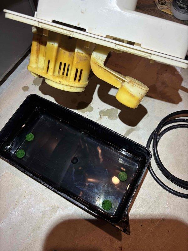 Completed annual cooling maintenance on 19-year-old Lennox system. Upon inspection, discovered excessive water accumulation in condensate drain pan with visible corrosion and mineral deposits on drain fittings and overflow safety switches. Disassembled and cleaned condensate drainage components, removing rust-colored staining and buildup from yellow plastic drain fittings. Cleared drainage system to restore proper water evacuation and prevent potential overflow issues. Documented system condition with photos for service records.