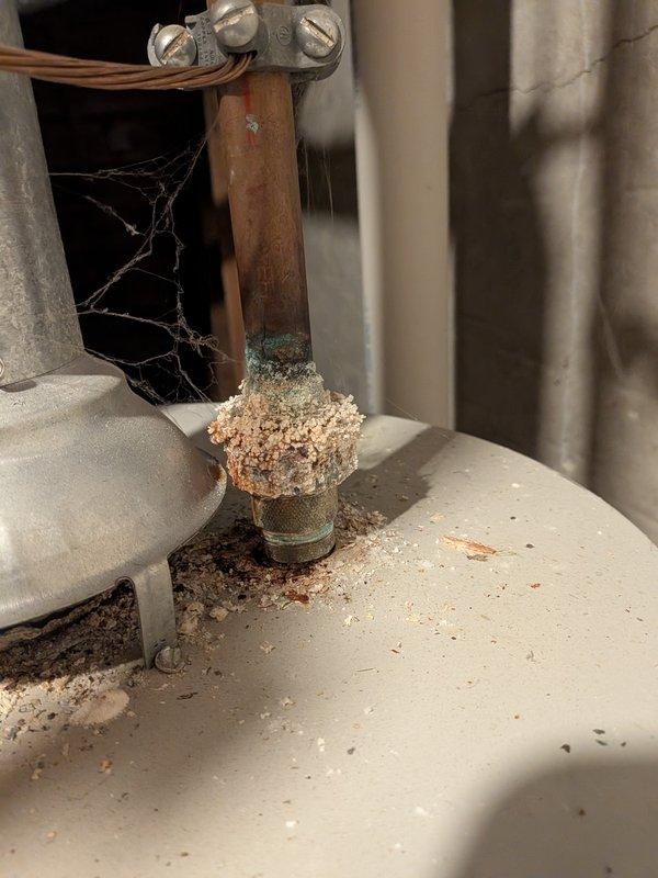 Responded to no hot water complaint on 10-year-old Bradford White 40-gallon natural gas water heater (Model MI404T6FBN). Upon inspection, discovered severe mineral buildup and corrosion on copper piping connections and heat trap fittings, with extensive calcification obstructing proper water flow. Copper pipes exhibited significant green patina corrosion and verdigris formation throughout the supply lines. The extreme hard water mineral deposits indicated prolonged deterioration of the system's plumbing components, compromising the unit's ability to circulate hot water effectively. Documented conditions with photos showing the extent of mineral accumulation and corrosion damage requiring system replacement or extensive repair to restore hot water service.
