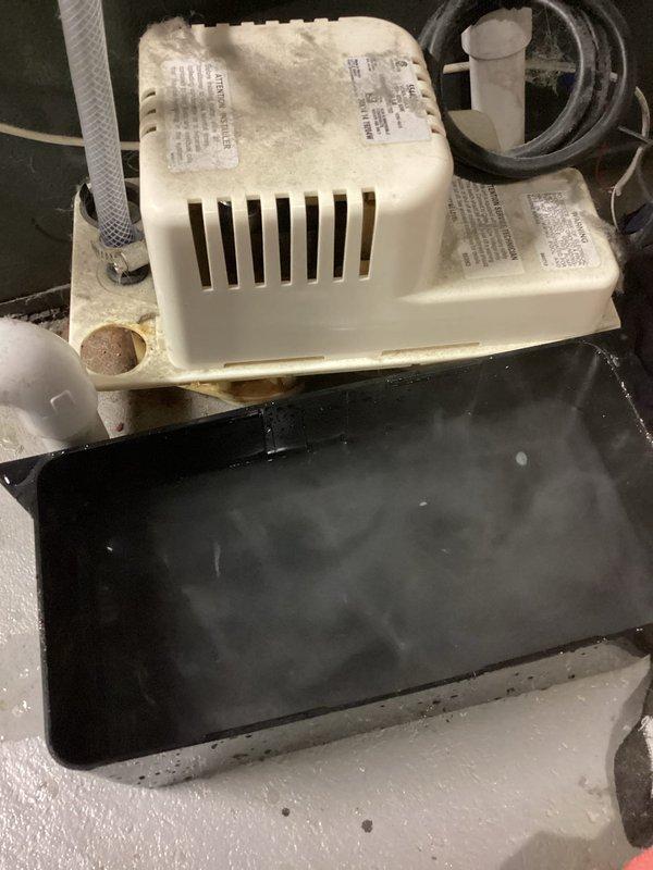 Completed annual cooling maintenance on 26-year-old Bryant AC system. Performed comprehensive tune-up inspection, checked refrigerant levels, cleaned condensate drain system, and verified proper operation of condensate pump and drainage components. System operating within normal parameters; documented equipment condition with photos showing condensate collection pan with standing water and minor discoloration consistent with age of unit.