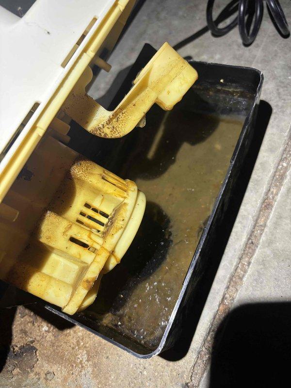 Completed annual cooling maintenance on Daikin system. Serviced condensate pump assembly, cleaned drain pan, and verified proper water removal operation. All components tested and system operating within normal parameters.