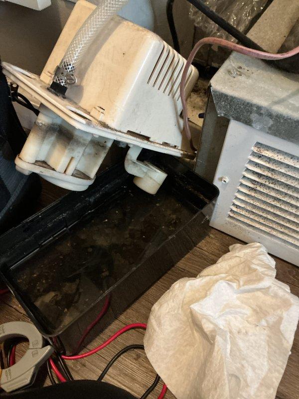 Completed annual cooling maintenance on 2019 Carrier system. Performed standard tune-up procedures including inspection of all major components, cleaning of condensate drain pan which contained standing water and debris, and verification of system operation. Equipment showed normal wear for age with some discoloration on blower housing and dust accumulation on air return grille, all components functioning within specifications at time of departure.