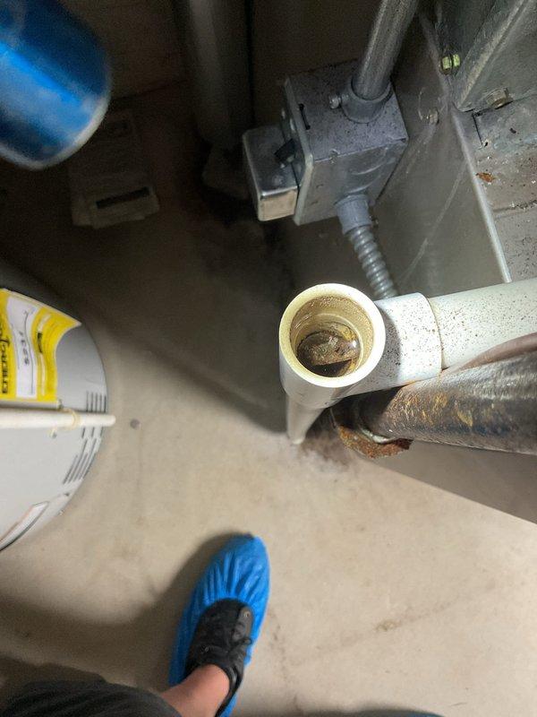 Responded to no heat or AC call with only fan operational on 22-year-old Bryant furnace and air conditioning system. Upon inspection, diagnosed system failure due to age-related component deterioration. Documented existing conditions including corroded condensate drainage piping with visible rust on metal connections and sediment buildup in PVC drain lines. Photographed HVAC mechanical components showing accumulated dust and wear consistent with equipment age. Advised customer that both heating and cooling units have exceeded typical service life expectancy and recommended full system replacement due to extent of deterioration and inefficiency of continuing repairs on equipment of this age.