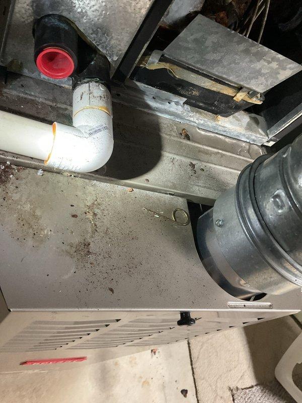Responded to no heat or AC call with only fan operational on 22-year-old Bryant furnace and air conditioning system. Upon inspection, diagnosed system failure due to age-related component deterioration. Documented existing conditions including corroded condensate drainage piping with visible rust on metal connections and sediment buildup in PVC drain lines. Photographed HVAC mechanical components showing accumulated dust and wear consistent with equipment age. Advised customer that both heating and cooling units have exceeded typical service life expectancy and recommended full system replacement due to extent of deterioration and inefficiency of continuing repairs on equipment of this age.