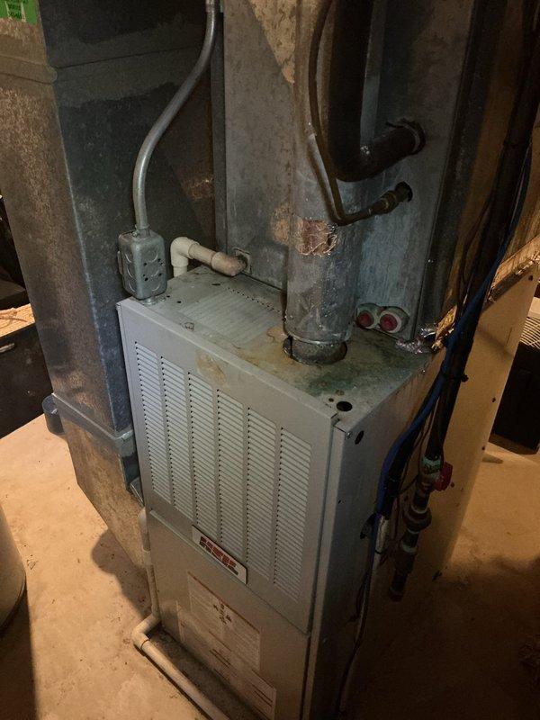 Responded to follow-up service call for ongoing no hot water issue. Upon arrival, inspected 10-year-old water heater and associated plumbing connections in basement utility area. Performed diagnostic testing and visual assessment of unit condition, heating elements, and electrical components. Documented existing equipment configuration including furnace, humidifier, and water heater installation. Identified age-related deterioration and determined water heater replacement necessary due to equipment failure and end of service life. Recommended full unit replacement to restore hot water service.