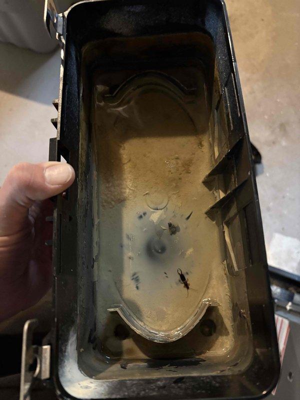 Completed annual cooling maintenance on EnergiAir system under warranty coverage. Inspected and serviced condensate drain pan assembly, which showed moderate accumulation of biological growth and sediment buildup. Cleaned drain pan housing, removed debris, and installed drain pan treatment tablets to prevent future algae formation and maintain proper drainage. System operational and condensate management restored to optimal condition.
