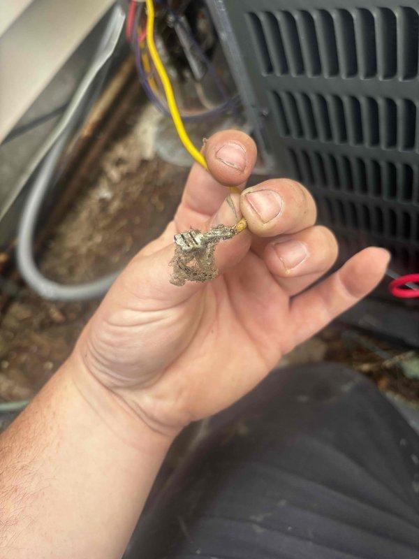 Completed annual cooling maintenance on 5-year-old Goodman system. Performed comprehensive inspection of outdoor condensing unit, checking refrigerant charge levels using electronic charging scale. Discovered severely corroded electrical connector on unit, which was documented and brought to customer's attention as a potential reliability concern. Verified system operation, cleaned condenser coil area, and confirmed updated contact information for service records.