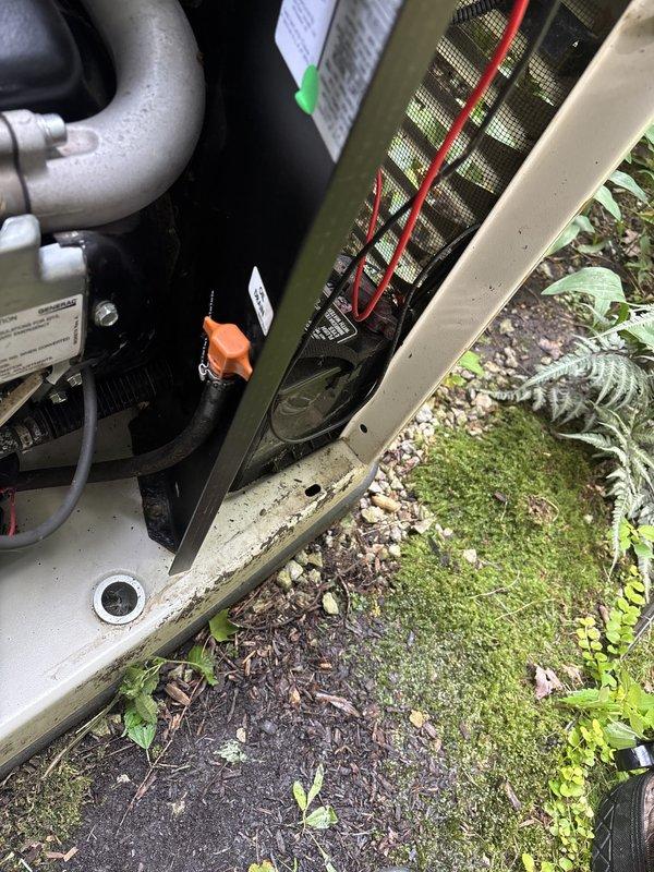 Responded to maintenance warning light on 11-year-old Generac generator that had been illuminated for several weeks following notification during previous AC service visit. Performed diagnostic inspection and testing of generator system using multimeter to assess electrical components and operational status. Inspected internal components including heat exchanger, control panel, and wiring connections. Evaluated unit condition, noting vegetation encroachment and moss accumulation on concrete pad surrounding equipment. Documented system status with photographs for service records. Generator system confirmed as registered and under contract for ongoing maintenance support.
