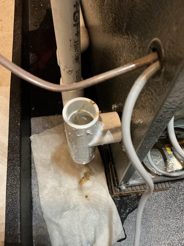 Responded to water leak service call and inspected HVAC system with furnace drain pan approximately one-third full of water. Found excessive condensation accumulation on air handler unit and surrounding components, indicating active moisture issues. Documented conditions with photographs showing heavy condensation on metal surfaces, wet insulation pad beneath equipment, and moisture on refrigerant lines. Verified air filter condition and system configuration. Unit is covered under warranty through December 2033.