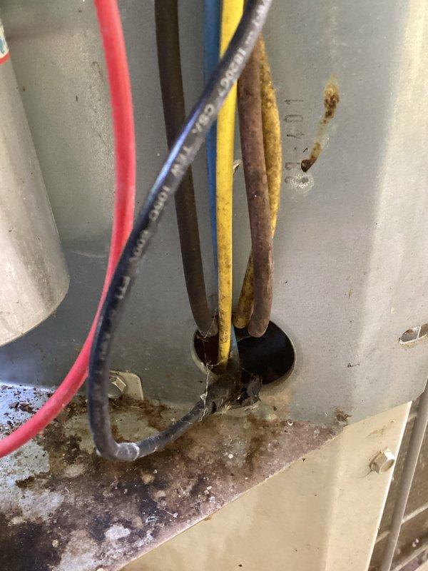 Completed annual cooling maintenance on 16-year-old Payne air conditioning system. Performed comprehensive tune-up inspection including exterior unit examination, electrical connection assessment, and system component evaluation. Documentation photos captured exterior wall-mounted ventilation component and interior cabinet electrical connections, noting rust staining and corrosion around cable penetration area that will require monitoring for potential moisture intrusion concerns.