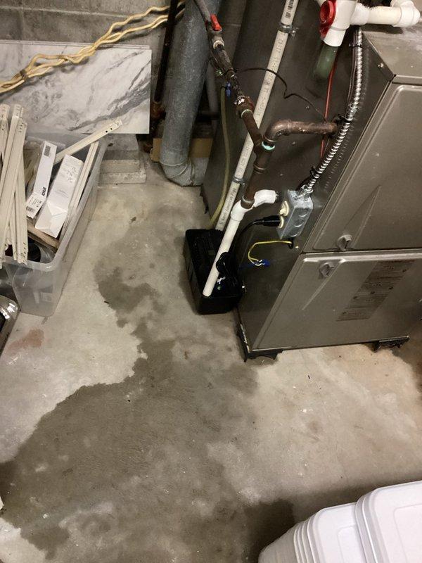 Completed annual cooling maintenance on 9-year-old Carrier system located in basement mechanical room. Performed comprehensive inspection of indoor air handler unit, refrigerant lines, and associated components. Noted significant water staining and moisture marks on concrete floor throughout the mechanical space, indicating potential drainage concerns or previous water intrusion that should be monitored. All refrigerant connections, copper piping, and insulated line sets were inspected and found secure with no visible leaks or damage. System operational and ready for cooling season.