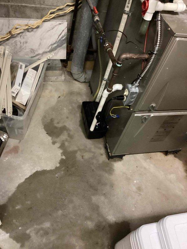 Completed annual cooling maintenance on 9-year-old Carrier system located in basement mechanical room. Performed comprehensive inspection of indoor air handler unit, refrigerant lines, and associated components. Noted significant water staining and moisture marks on concrete floor throughout the mechanical space, indicating potential drainage concerns or previous water intrusion that should be monitored. All refrigerant connections, copper piping, and insulated line sets were inspected and found secure with no visible leaks or damage. System operational and ready for cooling season.
