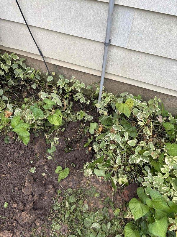 Relocated grounding electrode conductor that was previously routed through a low-lying lawn area subject to flooding and interfering with mowing operations. Rerouted the ground wire along the foundation wall using appropriate conduit protection, securing it above grade level adjacent to existing electrical service equipment and meter base. The relocated grounding system now provides proper electrical safety while eliminating the landscape maintenance conflict and flood exposure risk.