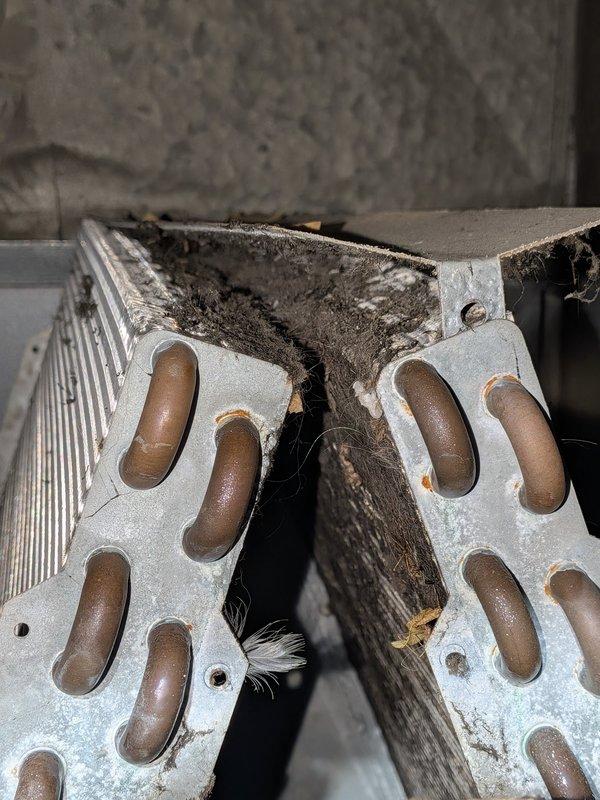 Completed annual cooling maintenance on 18-year-old air conditioning system. Performed comprehensive tune-up including inspection of all major components, coil cleaning to remove significant biological growth and debris accumulation from evaporator coil and drain pan area, verified proper operation of condensate pump unit, and confirmed system functionality. Noted heavy contamination in drain pan requiring thorough cleaning due to environmental conditions.