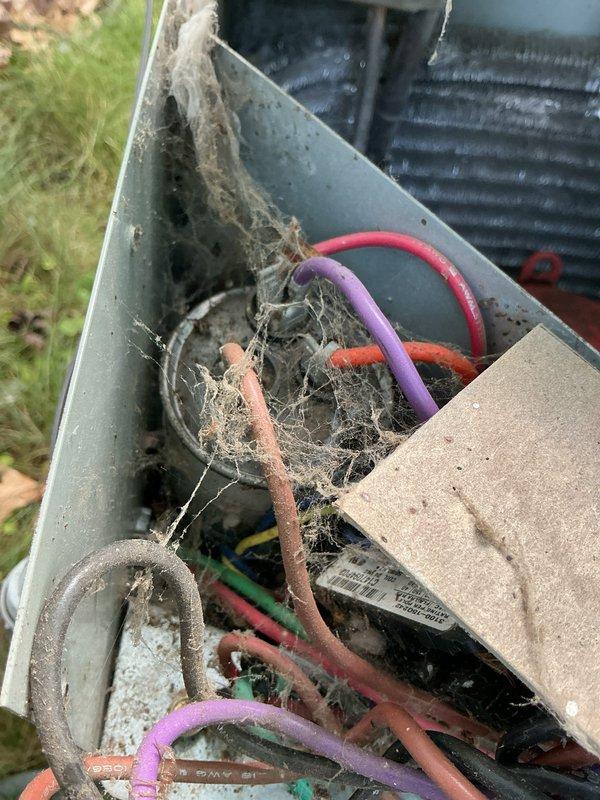 Responded to insufficient cooling complaint on 16-year-old Ameristar 7B0023B100A air conditioning system. Upon arrival, confirmed exterior condenser fan motor operational with adequate airflow. Verified indoor filter and return grills were clean and unobstructed. 

Inspected outdoor condensing unit and discovered significant debris accumulation including spider webs, organic material, and dirt buildup throughout cabinet interior and on condenser coil fins. This contamination was restricting proper heat transfer and reducing system efficiency. Cleaned condenser coil and removed debris from unit interior to restore proper airflow across heat exchange surfaces.

Performed system diagnostics and measured refrigerant pressures. Identified low refrigerant charge in HCFC-22 system. Added 3 pounds 6 ounces of R-22 refrigerant to bring system to manufacturer specifications. Monitored system operation following recharge to verify proper cooling performance restoration.

Documented equipment cond