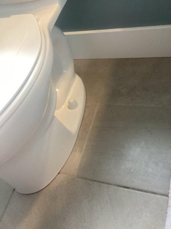Completed toilet replacement in multiple designated bathrooms of a 10-year-old residential property. Removed existing fixtures and installed new white two-piece toilets with standard tank and bowl configuration. Ensured proper mounting, sealing, and connection to existing plumbing systems. Verified functionality and leak-free operation of all replaced units. Work completed over a two-day period as planned.