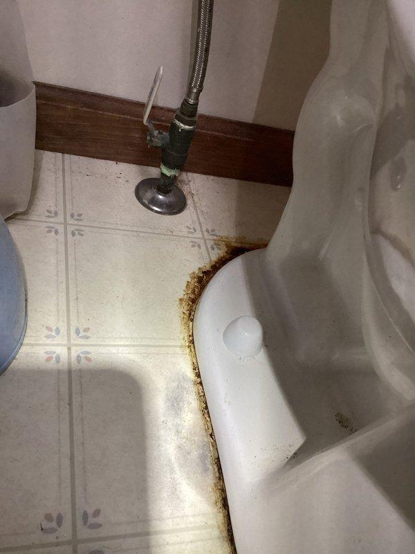 Completed annual cooling system tune-up and maintenance inspection as part of scheduled preventative maintenance program. System evaluated and found operating within normal parameters. Documentation photos captured showing unrelated bathroom floor staining around toilet base, likely from water seepage or wax ring failure requiring future plumbing attention.