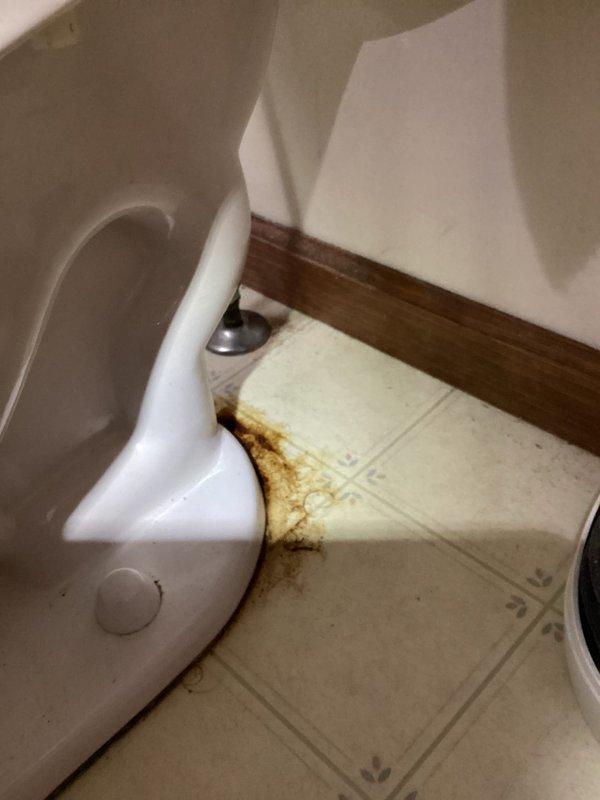 Completed annual cooling system tune-up and maintenance inspection as part of scheduled preventative maintenance program. System evaluated and found operating within normal parameters. Documentation photos captured showing unrelated bathroom floor staining around toilet base, likely from water seepage or wax ring failure requiring future plumbing attention.