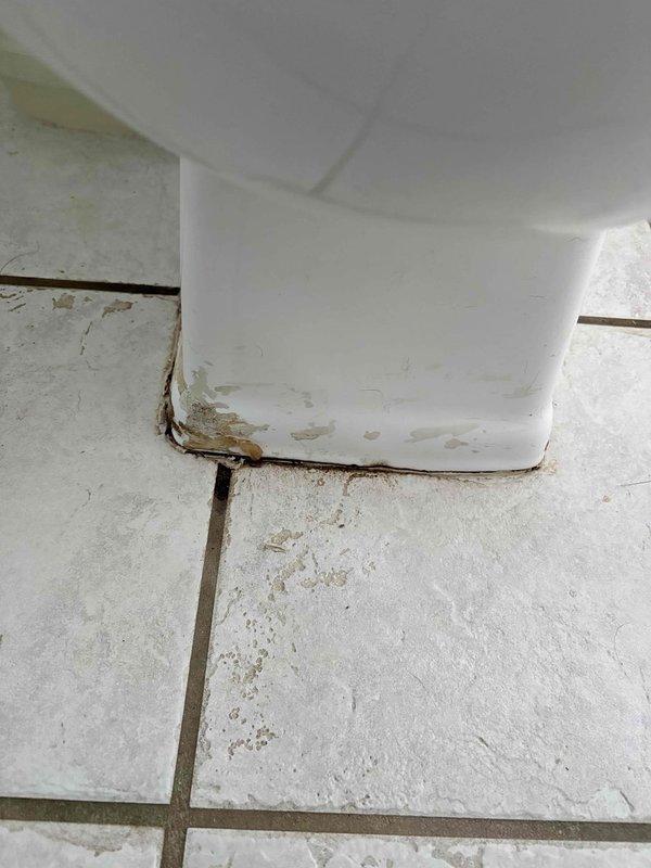 Responded to a plumbing leak at the toilet water supply line. Upon arrival, found active water leakage at the connection point between the supply line and the toilet fill valve, with visible water damage and staining on the bathroom floor tiles and baseboards. Inspected the braided stainless steel flex line and connection fittings for the dual-flush toilet system. Identified a faulty connection causing the leak. Shut off the water supply, removed the defective supply line, and installed a new braided flex supply line with proper sealing. Tested all connections for leaks and verified proper water flow to the toilet tank. Cleaned up standing water and confirmed no active leaking upon completion. Documented the existing water damage with photos for client records.