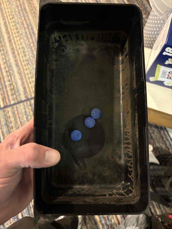 Completed annual cooling maintenance on 9-year-old Bryant air conditioning system. Cleaned evaporator coil drain pan, which contained significant sediment and debris buildup, and treated with algaecide tablets to prevent future biological growth and ensure proper condensate drainage. System inspected and returned to normal operation.