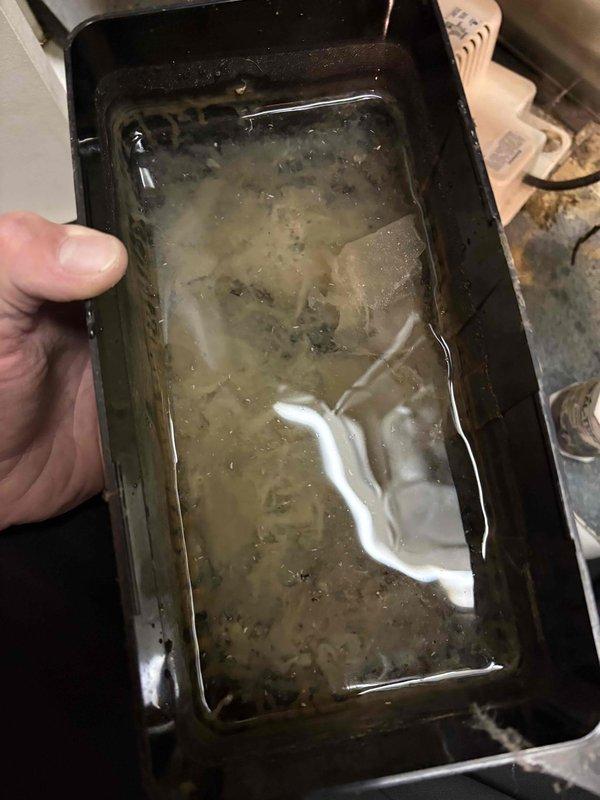 Completed annual cooling maintenance on 9-year-old Bryant air conditioning system. Cleaned evaporator coil drain pan, which contained significant sediment and debris buildup, and treated with algaecide tablets to prevent future biological growth and ensure proper condensate drainage. System inspected and returned to normal operation.