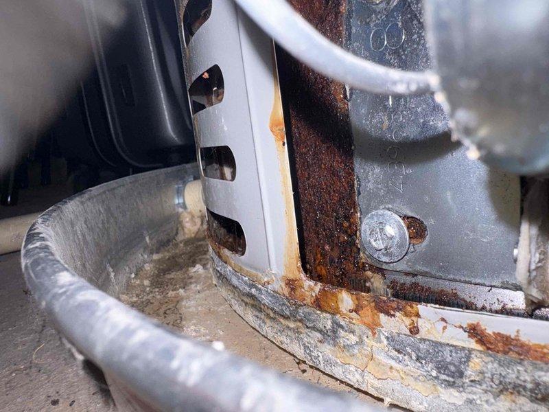 # Water Heater No-Light Condition - Bradford White Unit

Responded to service call for 4-year-old Bradford White water heater with no ignition and complete loss of hot water supply to residence. Upon arrival, conducted visual inspection and diagnostic assessment of unit components.

Inspection revealed severe corrosion throughout the combustion chamber and heat exchanger assembly. Extensive rust buildup was present on the burner housing frame, with heavy oxidation concentrated along mounting brackets and structural supports. The deterioration indicated prolonged moisture exposure within the combustion area, compromising the integrity of critical components.

Further examination showed significant corrosion at component junction points and mounting hardware, with rust penetration affecting the burner assembly housing. White insulation material surrounding the combustion chamber displayed age-related degradation and compression. The heat exchanger exhibited widespread rust discoloration 