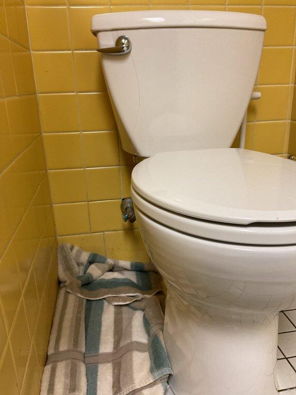 Responded to toilet leak complaint and performed thorough inspection of two-piece toilet fixture with chrome flush handle. Upon examination, documented existing conditions with photographs showing yellow tile wall installation and hexagonal floor tile surrounding fixture. Verified toilet operation and assessed all visible components including tank, bowl, flush mechanism, and base connections for signs of active leakage or water damage.