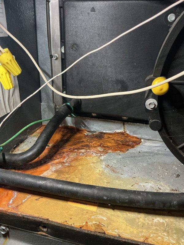 Responded to water leak inside 15-year-old furnace unit. Upon inspection, discovered extensive rust and corrosion throughout the base drain pan with standing water accumulation, indicating prolonged moisture exposure and deterioration of the metal surfaces. Documented the severe rust damage affecting the interior base section of the HVAC system. Performed AC tune-up service on the system, which remained operational for heating despite the leak condition. Photographed the corroded drain pan, standing water, and overall equipment condition for service records.