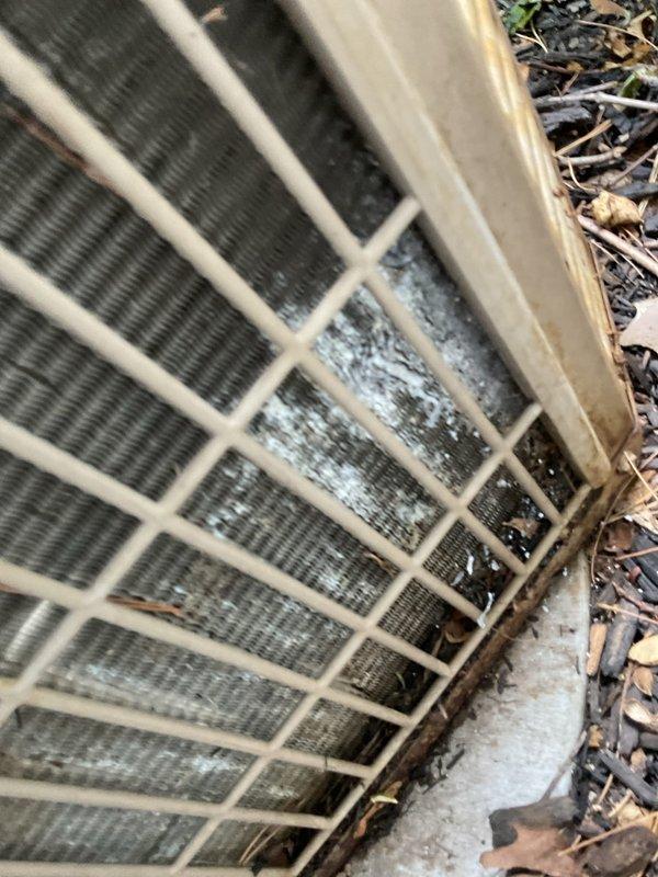 Completed annual cooling maintenance on 31-year-old York AC unit. Performed comprehensive system inspection including condenser coil assessment, which showed significant debris accumulation and dirt buildup on fins. Documented existing rust deterioration on metal components near condensate drain system and PVC drainage lines at foundation level. Unit operational at time of service, though customer is aware of system age and planning replacement within the next year.