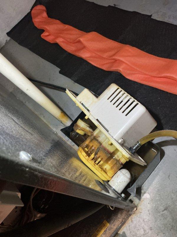 Completed annual cooling maintenance on 11-year-old Goodman AC system. Performed standard tune-up procedures including inspection of condensate pump assembly, drainage lines, and associated plumbing connections. All components found operating within normal parameters and system ready for cooling season.