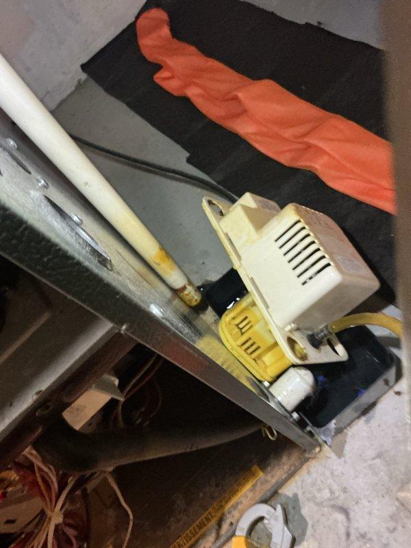 Completed annual cooling maintenance on 11-year-old Goodman AC system. Performed standard tune-up procedures including inspection of condensate pump assembly, drainage lines, and associated plumbing connections. All components found operating within normal parameters and system ready for cooling season.