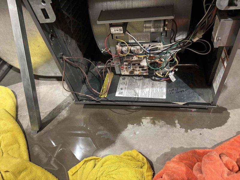 Responded to no-cool complaint on 12-year-old Ruud HVAC system with water leakage at furnace. Upon arrival, found unit powered off by customer due to water accumulation on floor around base of equipment. Removed access panel to inspect internal components and control board. Identified water pooling beneath unit and placed towels to manage accumulation. Inspected evaporator coil drain system and tubing for blockages or disconnections. Photographed wire bundle connections, control board terminals, and drain tube assembly for documentation. Traced condensate drainage issue to determine source of water leak affecting system operation. System remained off during inspection to prevent further water damage and allow for proper diagnosis of cooling failure and drainage malfunction.