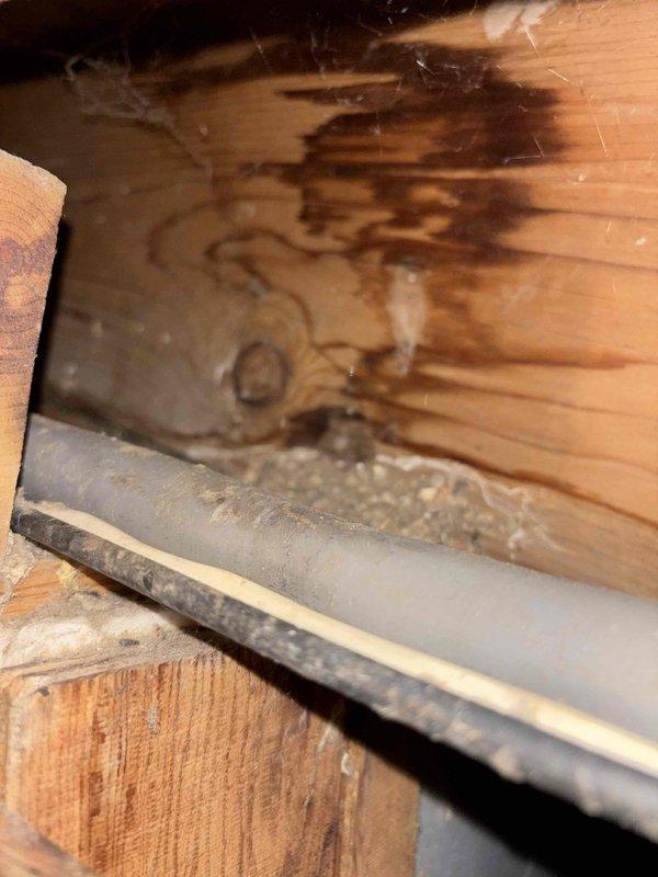 Responded to water leak in laundry room wall of forty-year-old home where leak had been ongoing for ten days. Investigated wall cavity and identified extensive water damage to wooden framing members and floor joists, with significant dark brown staining indicating prolonged moisture intrusion. Documented water-damaged structural components including metal flashing and dimensional lumber showing mineral deposits and discoloration patterns consistent with active water penetration. Photographed affected areas for documentation purposes.