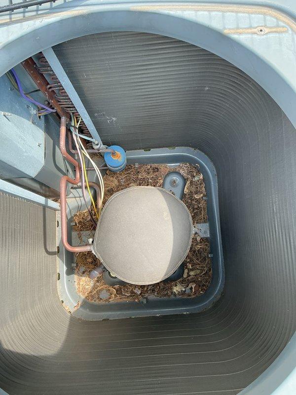Completed annual cooling maintenance on 2016 EnergiAir system. Performed comprehensive inspection of condensing unit located in protective metal enclosure. Removed accumulated debris, leaves, and organic matter from drain pan and unit base. Inspected refrigerant lines, electrical connections, and control wiring—all found secure and operational. Verified proper drainage and cleared blockages from condensate system. Documented equipment condition with photos showing copper refrigerant lines, service ports, and overall unit status before and after cleaning. System tested and operating within normal parameters.