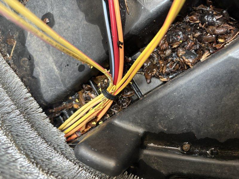 Responded to no-cooling complaint on 6-year-old American Standard air conditioning system. Upon inspection, found outdoor unit heavily contaminated with organic debris including leaves, dirt, and decomposed matter accumulated throughout interior components. Extensive corrosion observed on copper refrigerant lines, metal brackets, and structural supports indicating prolonged moisture exposure. Condenser coil fins showed dirt accumulation affecting heat transfer efficiency. Electrical connections and capacitor inspected amid debris buildup. Cleaned debris from unit interior, removed organic matter from around compressor and electrical components. Assessed system for additional damage from environmental exposure and verified proper airflow restoration through condenser coil after cleaning.