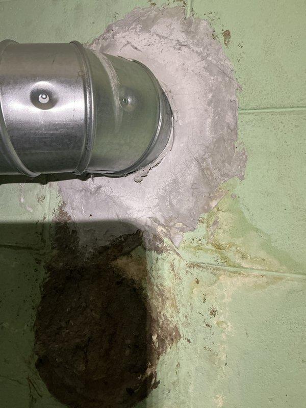 Responded to emergency no-hot-water call and conducted on-site assessment of failed water heater in basement utility area. Documented existing equipment and surrounding conditions, including water heater failure, basement mechanical room layout with furnace and HVAC systems, and evidence of moisture issues on concrete floor and wall surfaces near ductwork penetration. Prepared comprehensive estimate for complete water heater replacement to restore hot water service.