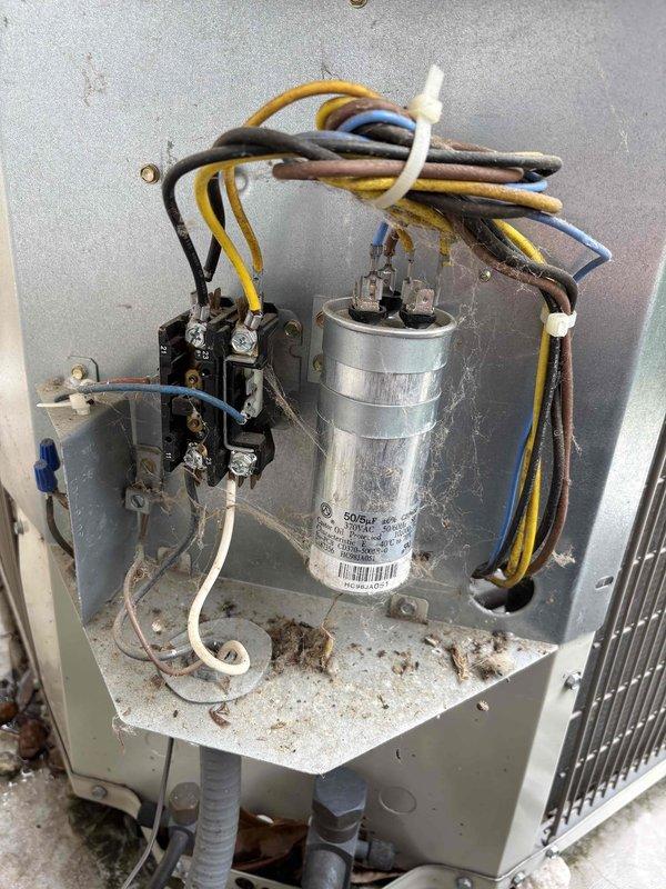 Responded to no-cool condition on 15-year-old Payne air conditioning system. Upon inspection, found failed dual-run capacitor preventing compressor and condenser fan motor operation. Verified contactor functionality and checked all electrical connections within condensing unit. Replaced defective capacitor with properly rated component, restored power to system, and confirmed normal startup and operation of both compressor and outdoor fan motor.