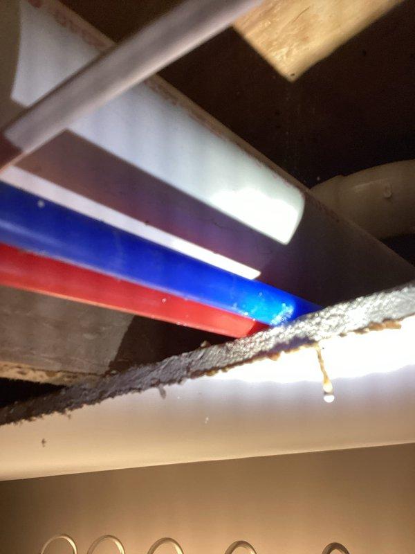 Responded to plumbing leak caused by restoration company damage to PEX water line in ceiling. Upon arrival, found active water dripping from damaged pipe where it had been accidentally nicked during restoration work. Assessed the situation and documented the damage with photographs showing red and blue PEX supply lines running through ceiling joists with visible moisture accumulation and water droplet formation at the point of damage. Coordinated repair with restoration company who accepted responsibility for the incident. Completed necessary repairs to restore water service and prevent further water damage to the structure.