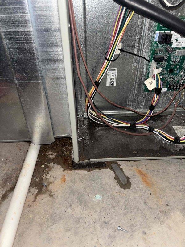 Completed annual cooling maintenance on 4-year-old Trane system. Performed comprehensive tune-up including inspection of interior components, electrical connections, and condensate drainage system. Observed rust formation on drain pan indicating moisture exposure; all electrical wiring and circuit boards inspected and found secure with no immediate concerns noted.